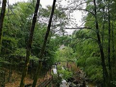 -藏龙百瀑风景区