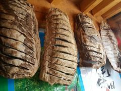 android_upload_pic-阿婆情腊排骨火锅(金虹路店)