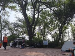 -秦皇岛野生动物园