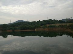 -凤岗南门山森林公园