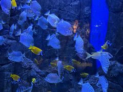 -成都浩海立方海洋公园