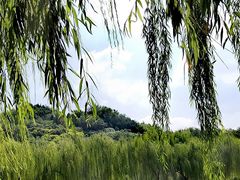 -南翠屏公园