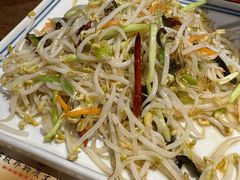 小炒笨豆芽-新兴园饺子馆(河南街店)