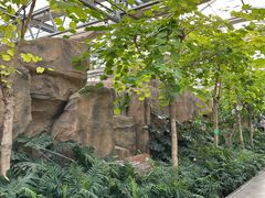 -南宫五洲植物乐园