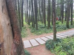 -采石矶景区