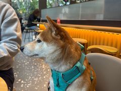 -星巴克臻选(湖滨道店)