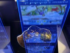 -吉林市博物馆