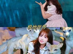 -华夏文旅西安度假区