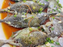 -鹏城人家海鲜酒家·23年老字号(较场尾店)