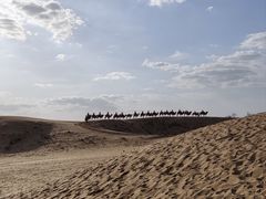 -黄沙古渡原生态旅游区