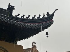 -普陀山风景名胜区-法雨禅寺