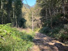 -会稽山峡洞漂流-上青古道