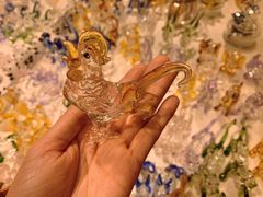-重庆海昌加勒比海水世界