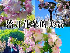 -元大都城垣遗址公园