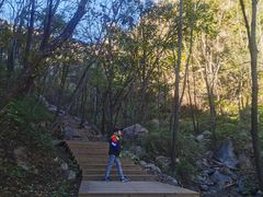 -大岭沟猕猴桃谷风景区