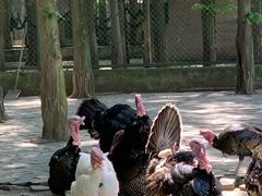 -南京金牛湖风景区