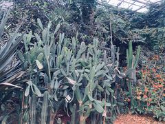 -呀路古热带植物园