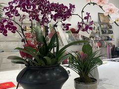 -花辰月夕花坊(北滨路店)