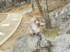 -千岛湖东南湖区