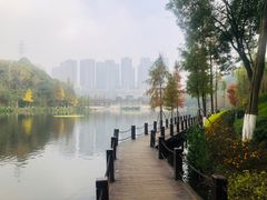-重庆彩云湖湿地公园
