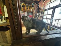 -壹六猫窝(谷德店)