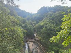 -广州白江湖森林公园