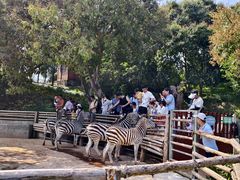 -泉州海丝野生动物世界