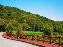 -广州市石门国家森林公园