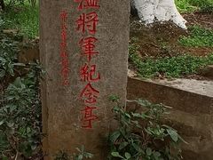 -雨花胜境