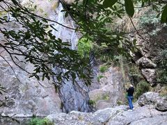 -东天目山风景区