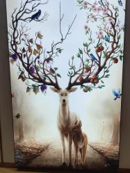 -小阿福儿童摄影(华中智谷店)
