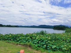 -池州市平天湖风景区