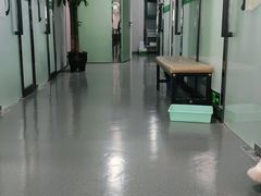 -半岛宠物医院24小时(科华中路店)