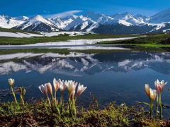 -赛里木湖风景名胜区