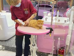 -FAELING PETS美天灵宠物(富力广场店)