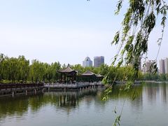-莲花池公园