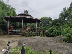 -常州淹城野生动物世界