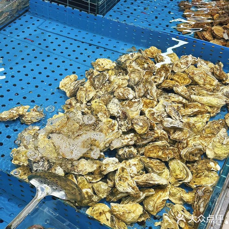 天呐！被日照这家蒸汽海鲜狠狠种草了‼️