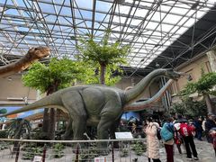 -国家自然博物馆