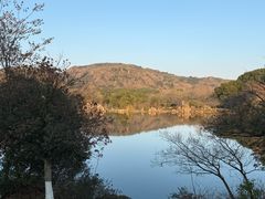 -白马涧龙池景区