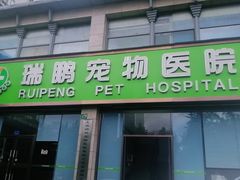 -瑞鹏宠物医院·内科·中兽医·骨科(苗圃店)