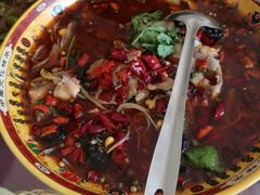 -佶政筋饼·新概念(安阳路店)