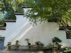 -上海醉白池公园