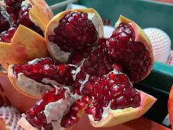 -姜美堂·蒸姜除湿の纤体美颜馆