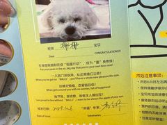-艾贝尔宠物医院·24H转诊中心·肿瘤猫专科(江宁双龙店)
