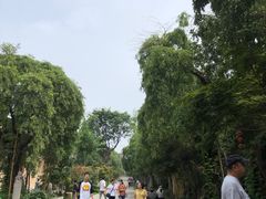 -西安关中民俗艺术博物院
