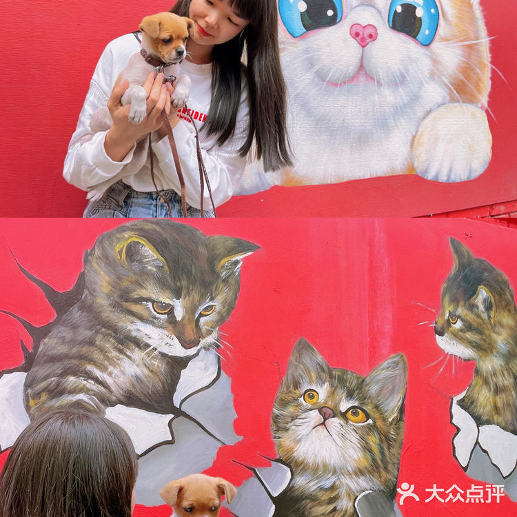 重庆版“格林童话”小镇✨人少绝美！重点还免费