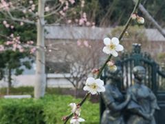 -广州市流溪河国家森林公园