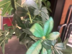 -新紫霞养生·影院足道·SPA(金山区店)