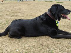 -喵汪宠物生活馆(涞坊路店)